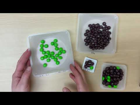 C:N and decomposition demonstration