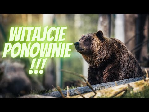 Dziadek i Niedźwiadek część 4 Niedźwiedź, postrach pasterzy.