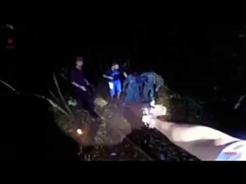 REACT L.SOARES - A TRILHA DA MACUMBA 2 ( RENATO GARCIA )