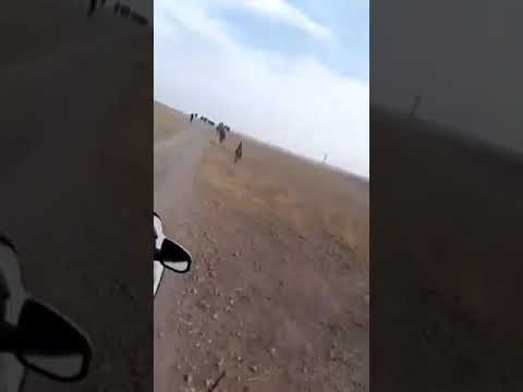 جولة لعناصر الجيش الوطني في منطقة منبج في ريف جلب