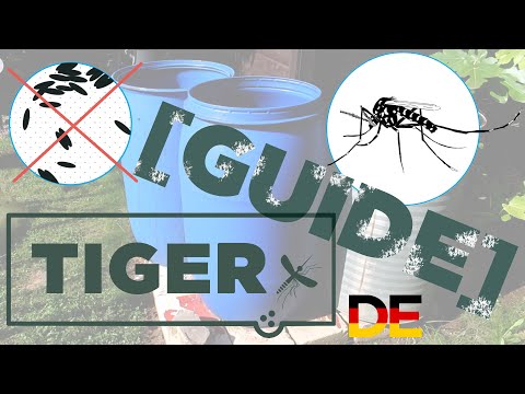 Tigermücken Prävention - Regentonne [TIGER Guide]