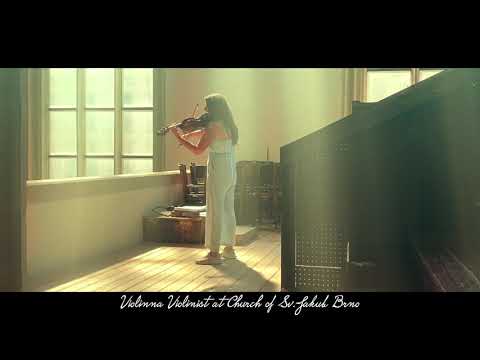 Violinista violinista em Brno