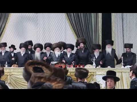 Nadvorna Yerushalayim Wedding - Dancing