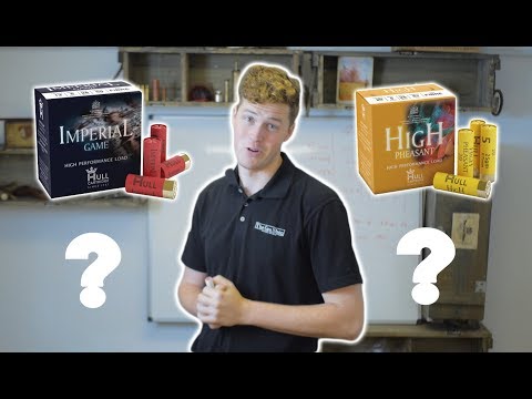 12 Bore vs 20 Bore ?!