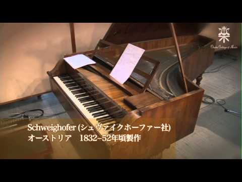 大阪音楽大学 【演奏会】音楽博物館・古典ピアノコンサート（2010年度）