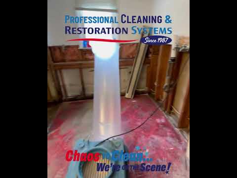 Bathroom Mold Remediation in Waterford, CT.
