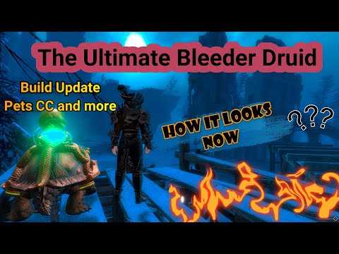 My Main Build update pet and CC Combo Explained The Ultimate Bleeder Druid Ranger WvW Roaming Guide
