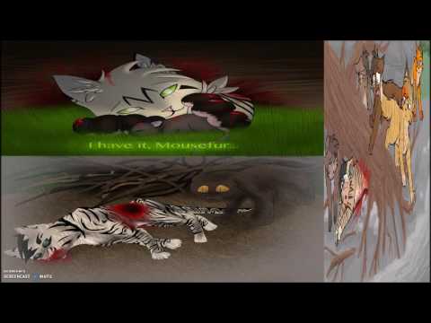 Top 20 Saddest Warrior Cat Deaths (spoilers)