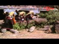 Ghost Turns Man To Monkey Telugu Comedy Scene NavvulaTV