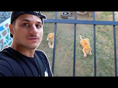 Ich erfülle mir meinen LEBENSTRAUM!! ❤️ | Yavi TV