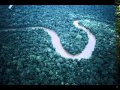 Звуки природы Волшебная Амазонка Часть 1 