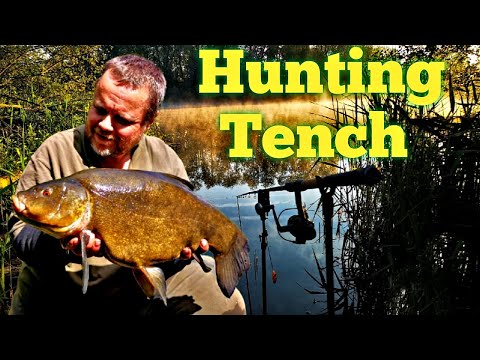 Tench Fishing - Searching For a Large Tench (Video 256)