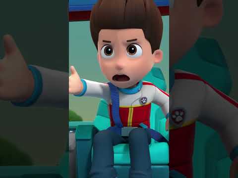 Cheetah patroller! 🐆 #PawPatrol #Shorts