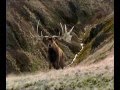 Channel 4 Extinct  The Irish Elk