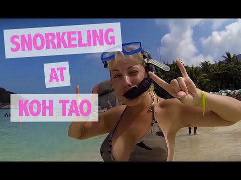 Snorkeling at Koh Tao / Koh Nang Yuang, Thailand. GO PRO (HD Quality 1080p)