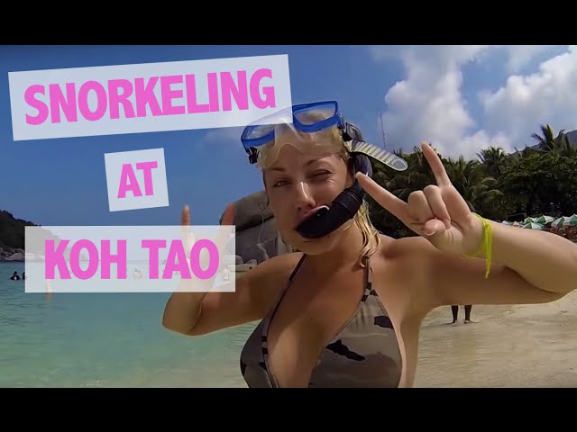 Snorkeling at Koh Tao / Koh Nang Yuang, Thailand. GO PRO (HD Quality 1080p)