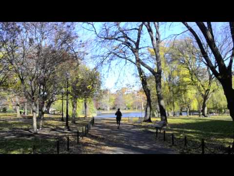 A City Symphony of Back Bay Boston