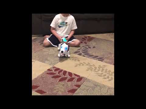 Toy Review Robo Dash