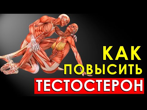 Как Быстро Повысить Уровень Тестостерона в Организме