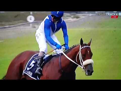 The Sun Met 2020 @ Kenilworth  2000m