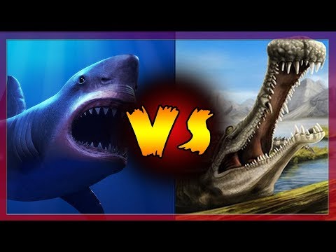 Megalodon VS Sarcosuchus