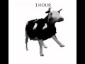 1 HOUR Of POLISH COW 1 Hour Videos