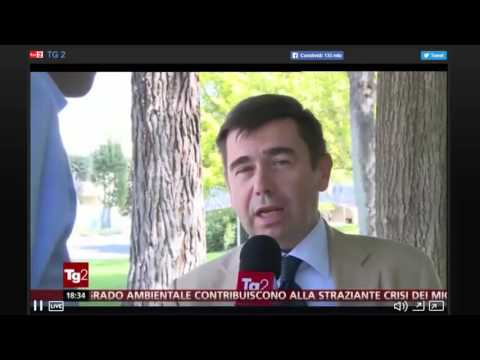 GEOLOCALIZZAZIONE / RAI Tg2  1 settembre 2016  ore 18 20 / Servizio di Giorgio Pacifici