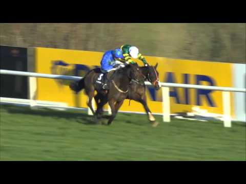 A Tribute to the King of Leopardstown - World Record Holder with 22 Grade 1 wins - Hurricane Fly