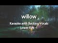 willow (Lower Key -1) Karaoke with Backing Vocals