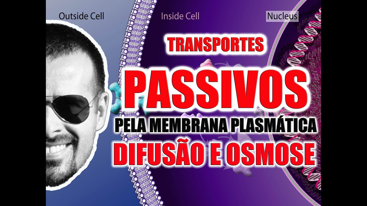Transporte Passivo pela Membrana Plasmática: Difusão e Osmose - Citologia - VídeoAula 017