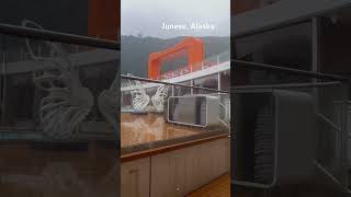 Juneau Alaska #alaskacruisevlog #juneau #cruise #celebritycruises #cruiseline #travel #cruiseship