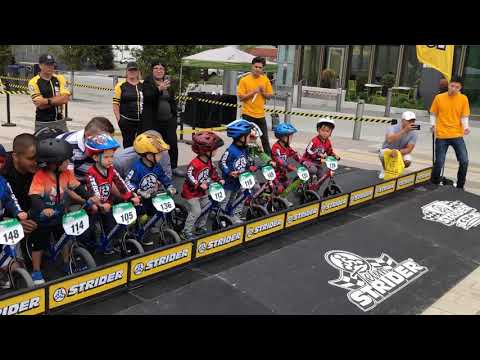 Balance Bike Race | Strider Cup FINALS | 3 year old