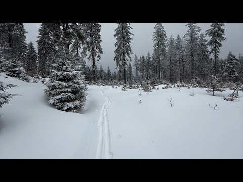 Pierwszy raz na nartach biegowych Czy damy rade ?