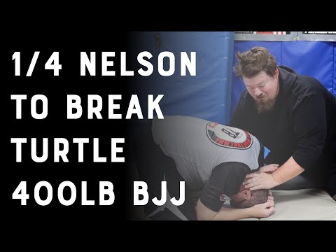 BJJ Turtle Soup 3 | 1/4 Quarter Nelson