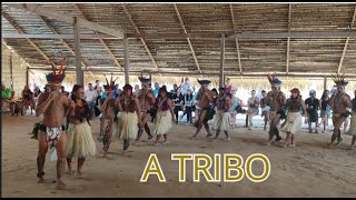 FLORESTA AMAZONIA, NUA E CRUA PARTE 3