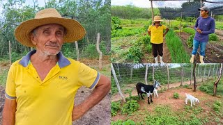 🐐Vejam Só Como tá as Cabritinhas +Dia Abençoado de Trabalho Só Gratidão Muitas Bençãos
