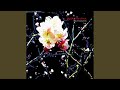 Schoenbrunn (Original Mix)