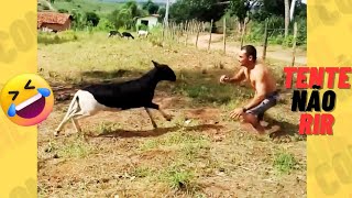 TENTE NÃO RIR IMPOSSÍVEL 🤣 4K - OS MELHORES memes e VÍDEOS ENGRAÇADOS 2025 #memes #comedia #410