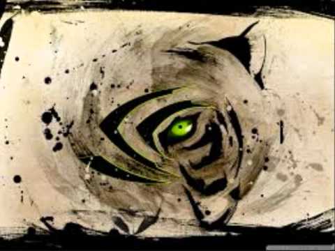 The year of the Tiger - Taoist/Oriental Astrology (Wu Xing)