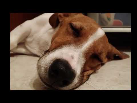 Manuel Cardella - Amici x Sempre "LEO"