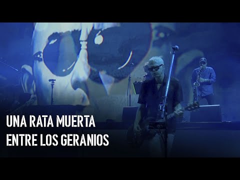 Una rata muerta entre los geranios (Indio) - LFDAA  Vista Brava  - En Vivo, Baradero 7/12/24
