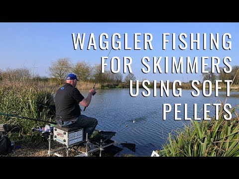 Waggler Fishing for Skimmers using Soft Pellets