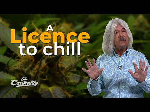 How tough is it to get a cannabis licence?