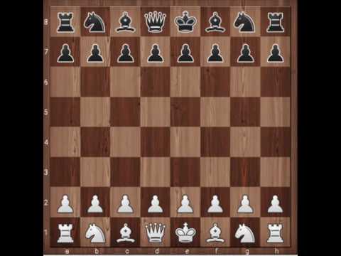 GM Karjakin crushed in 10 moves !