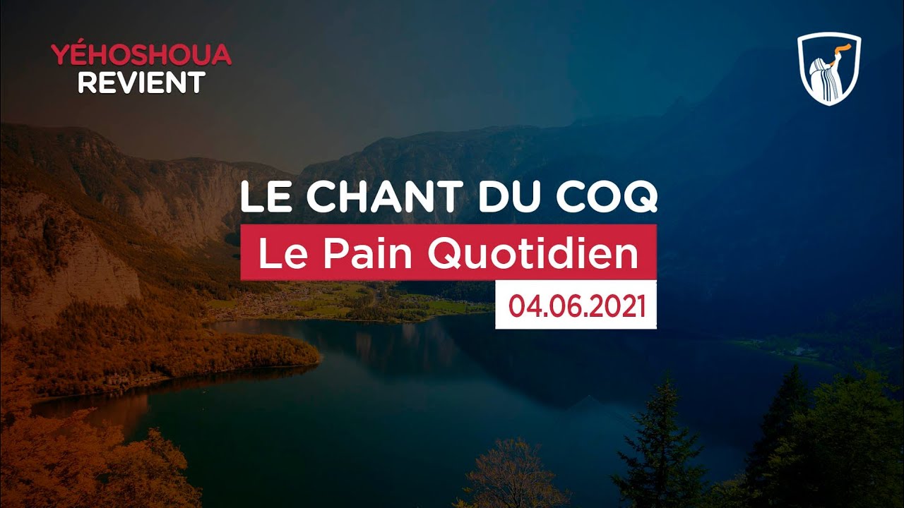 Thumbnail of video: Le Pain Quotidien