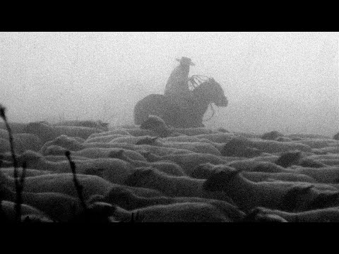 Under the Sky Shelter Trailer | CPH:DOX 2022