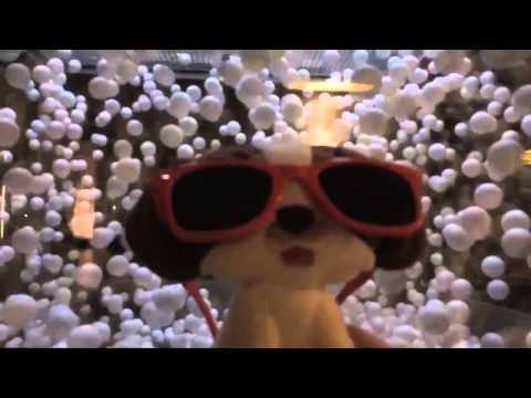 Cold Fusion MIT  LENR 2014