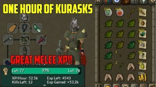 OSRS - Loot From One Hour Of Kurasks! (Money Maker/XP)