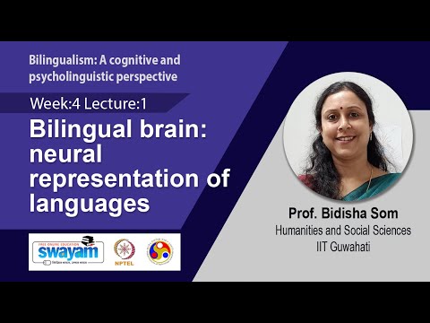 Bilingualism A cognitive and psycholinguistic perspective Intro Video