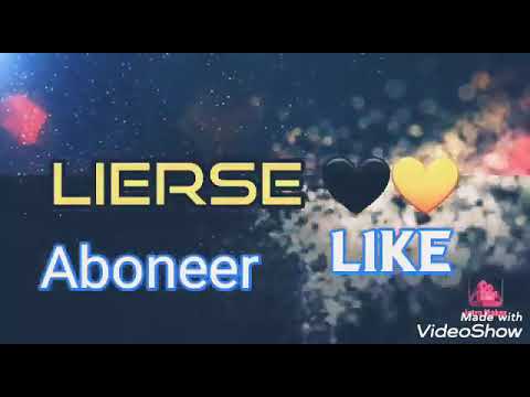 #10 thes sport - lierse sfeer 💛🖤